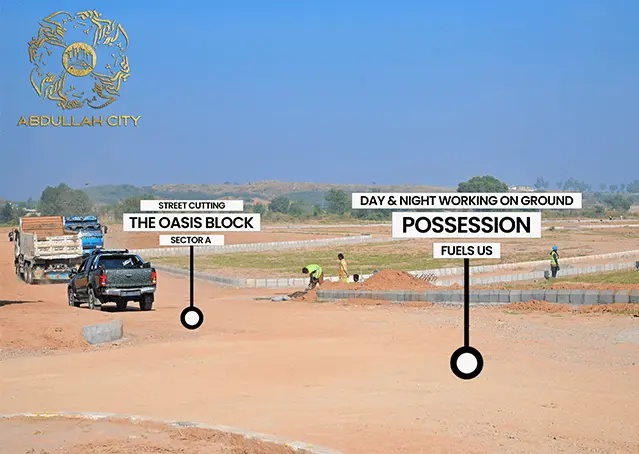 35560Artboard 3 (1) (1).webp